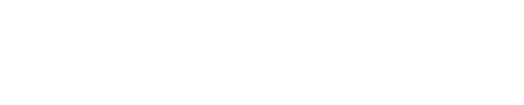 BORA_Logo_white
